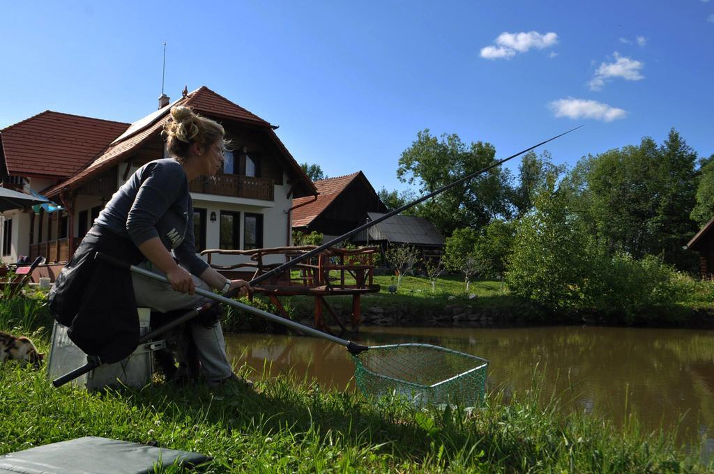 Hotel White Dove Pension Miercurea Ciuc Esterno foto